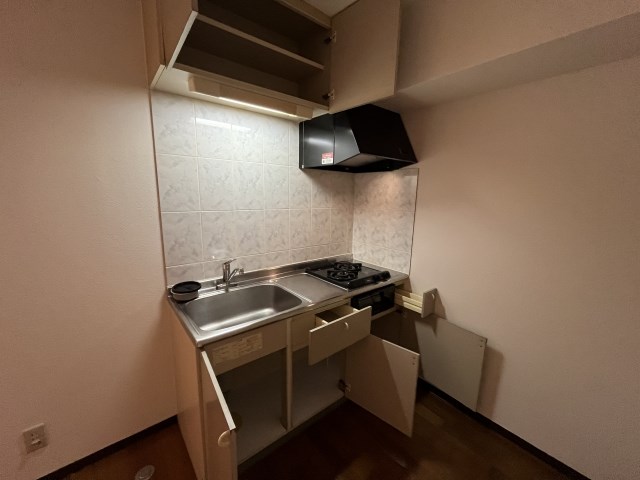 レイクビレッジⅢ その他27