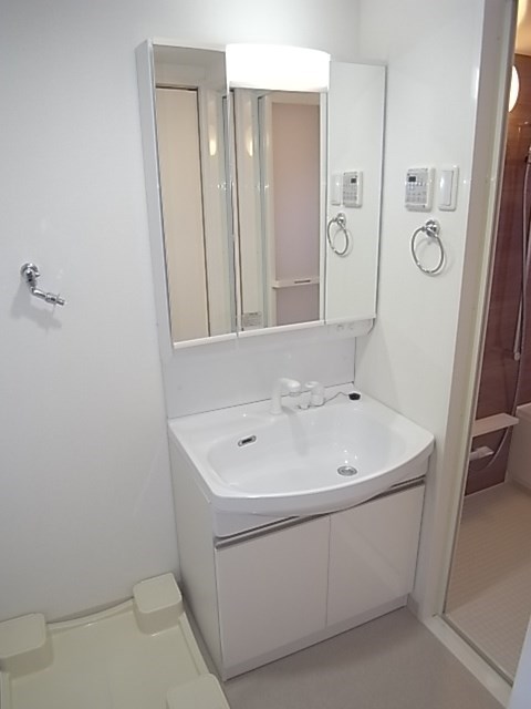 エムザ岩井 その他2