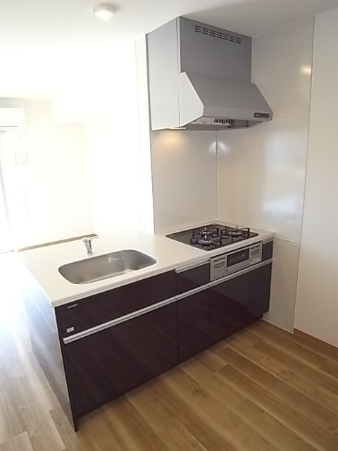 エムザ岩井 キッチン