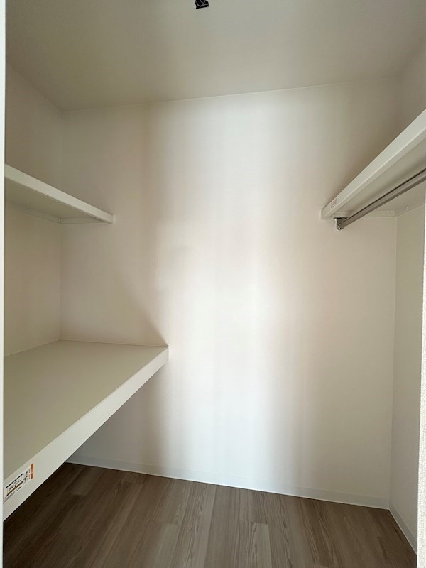 オランジュリー その他1