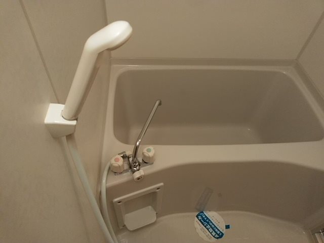 Mansion JULIAⅡ（マンションジュリアツー） その他29