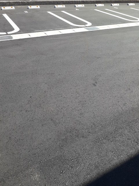 フィデール　Ｅ その他5