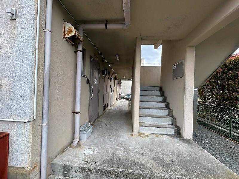 ルネッサンス9 その他外観2