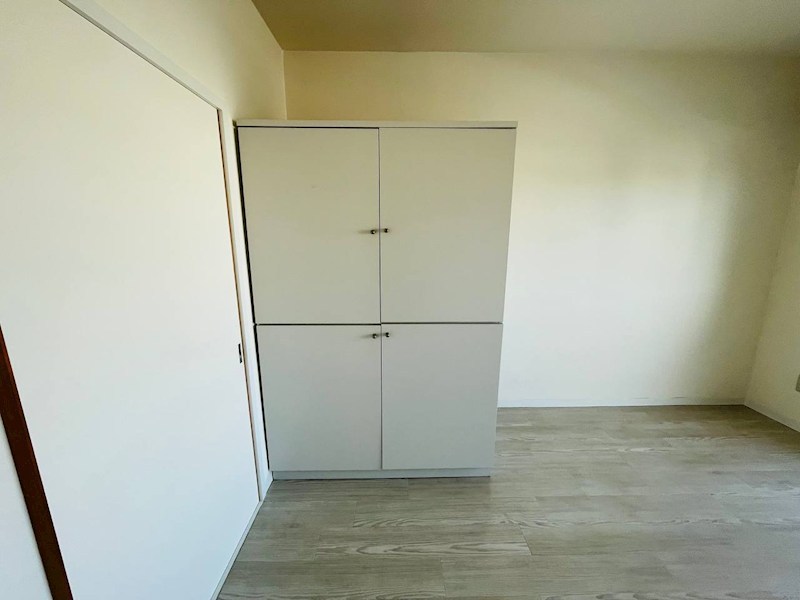 ルネッサンス9 その他13