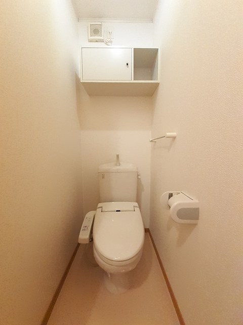 ニュー　バレー その他2