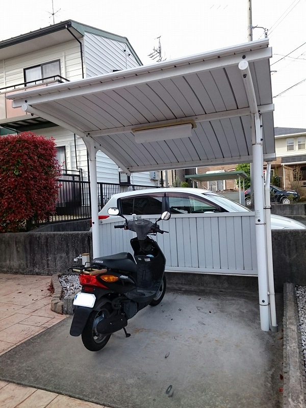 ニュー　バレー その他5