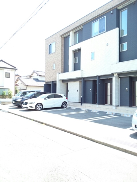 メイフラワー その他5