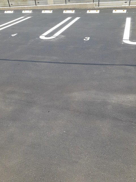 アレグリア その他4