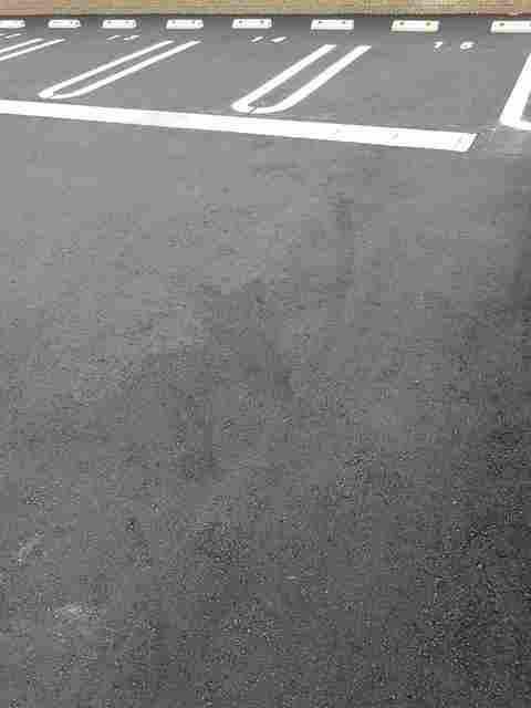 セレノ　カーサⅡ その他5