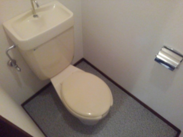 シティハイツおおすみＡ その他1