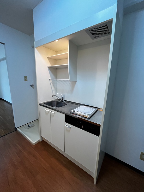 クリエイトダイアナⅠ キッチン