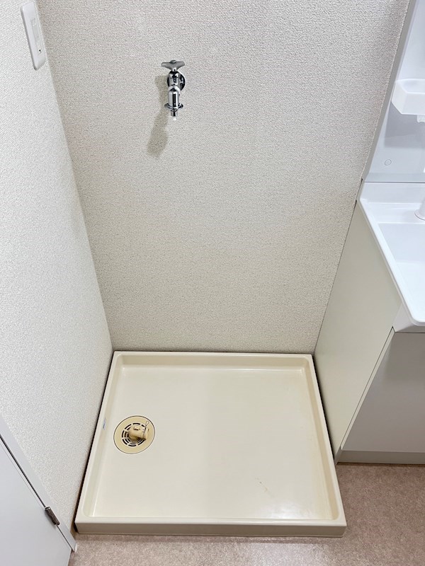 ハミング白木 その他3