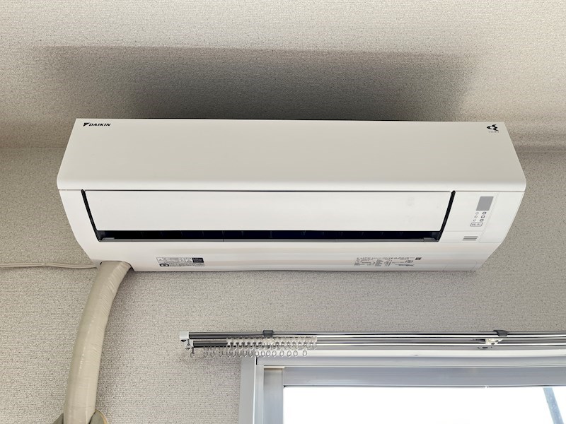 ハミング白木 その他5