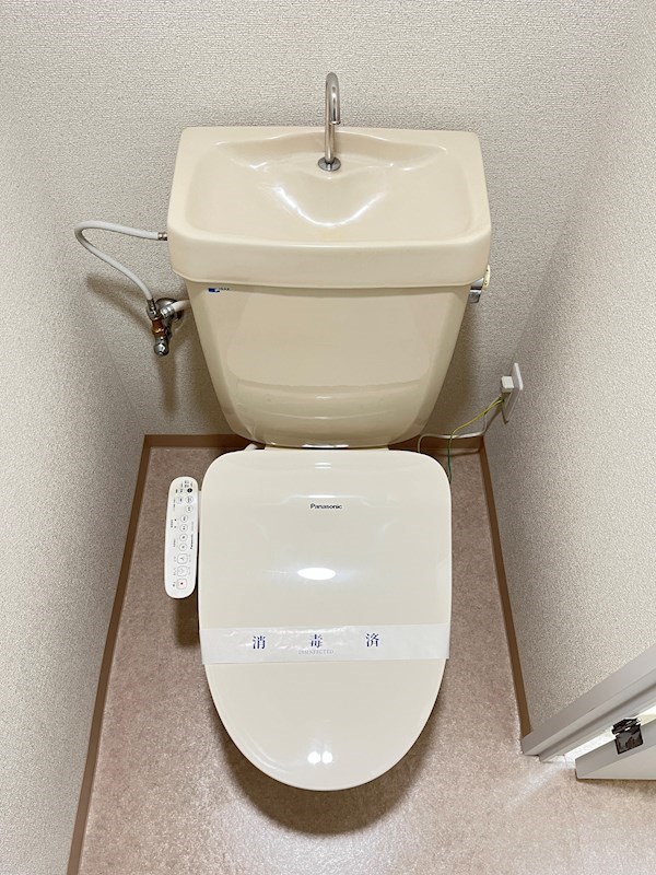 ハミング白木 その他13