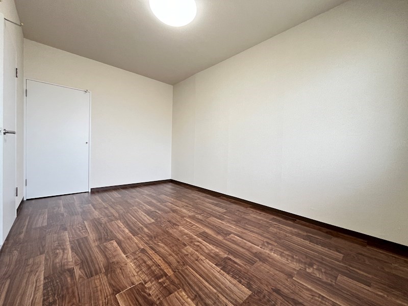 ハミング白木 その他24