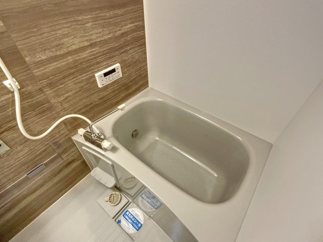 早出グリーンコーポ その他33