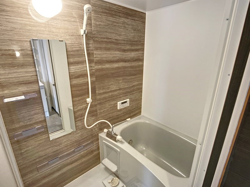 早出グリーンコーポ 風呂画像