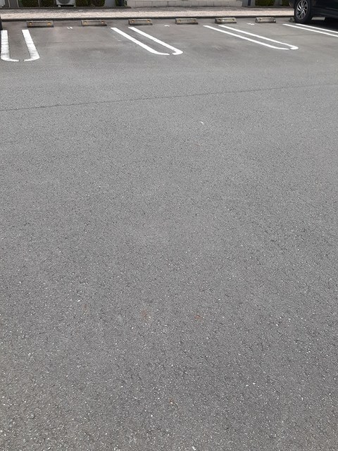 グレイスパレス その他4