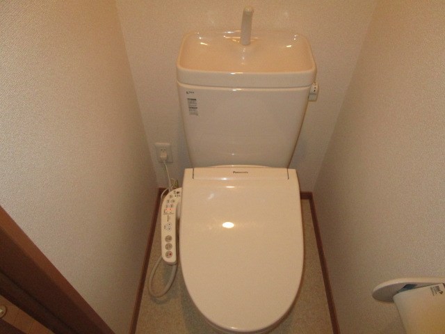 オリーブ その他3