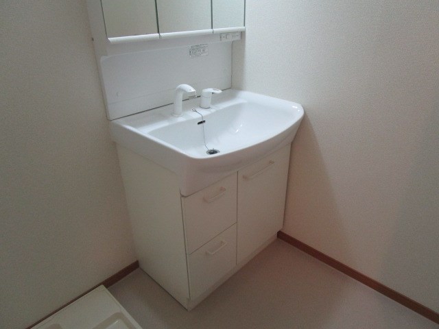 オリーブ その他4