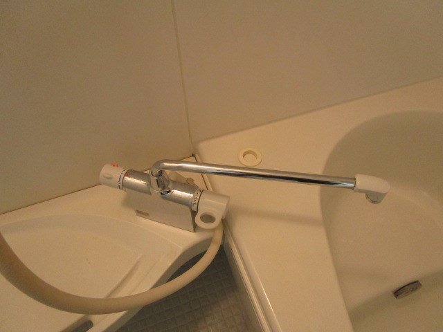 オリーブ その他8