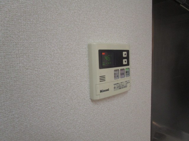 オリーブ その他9