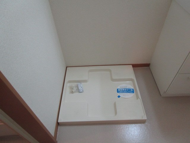 オリーブ その他11