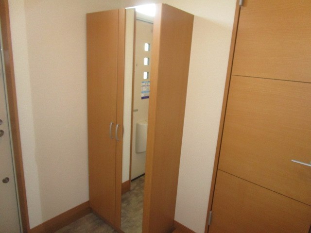 オリーブ その他12