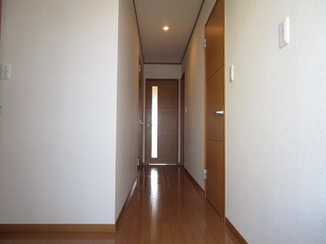 オリーブ その他19