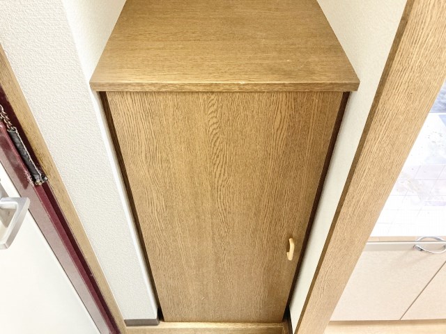 プロスパー初生 その他9