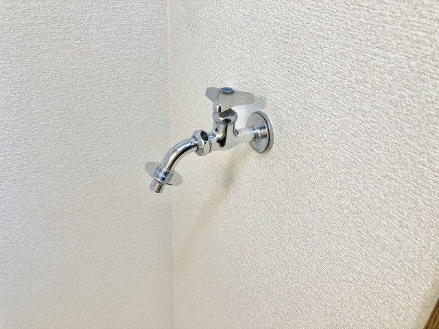 プロスパー初生 その他19