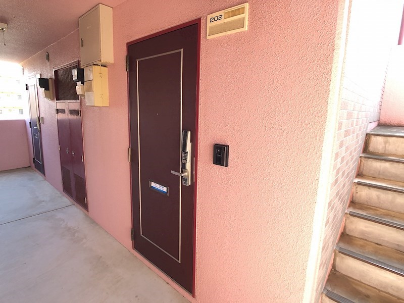 グレイス・ベル その他16