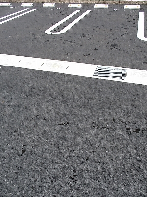 メゾンブランシュⅡ その他4