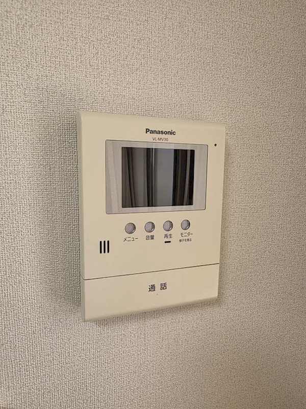 グリーンプラーサ その他4