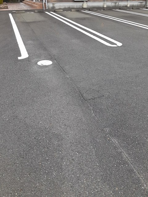 ニューリーフ　Ｂ その他4