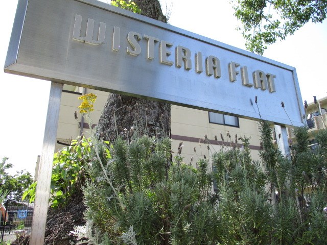 ウィステリア　フラット その他外観3