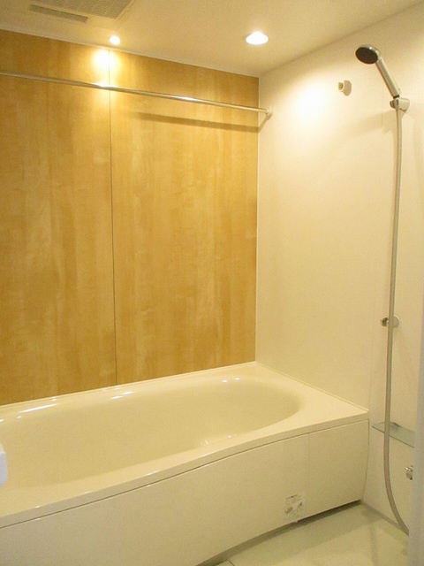 Ｗｉｎ　Ｂｉｒｄ　Ⅱ 風呂画像