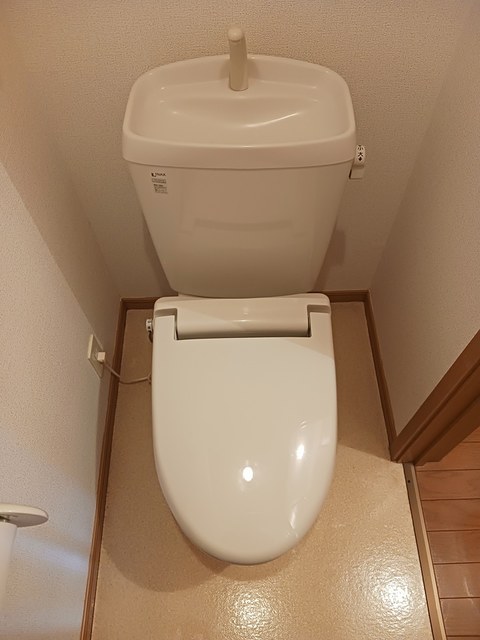 デスパシオ その他2