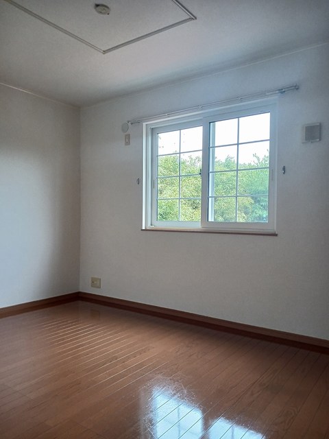 デスパシオ その他7