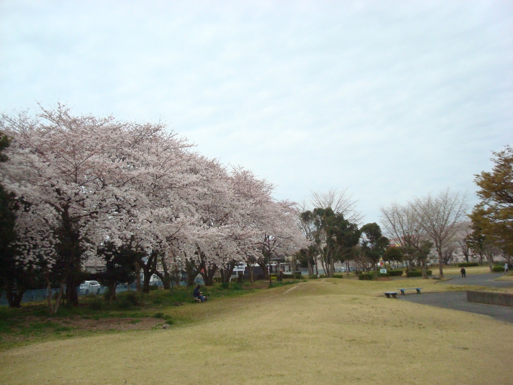 ユーバK 周辺画像7