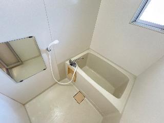 グレイス葵 その他16