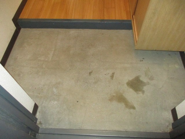 アネックス高丘Ⅰ 玄関