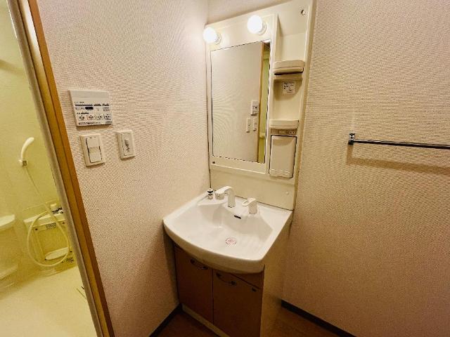 ＯＮＥ　ＰＩＥＣＥ（ワンピース） その他1