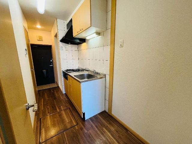 ＯＮＥ　ＰＩＥＣＥ（ワンピース） その他3