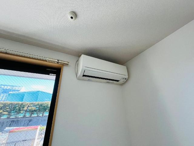 ＯＮＥ　ＰＩＥＣＥ（ワンピース） その他4