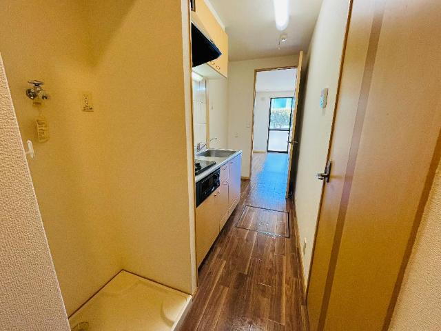 ＯＮＥ　ＰＩＥＣＥ（ワンピース） その他10