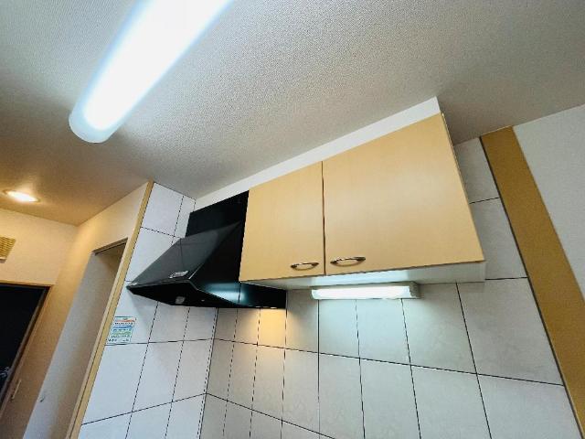 ＯＮＥ　ＰＩＥＣＥ（ワンピース） その他11