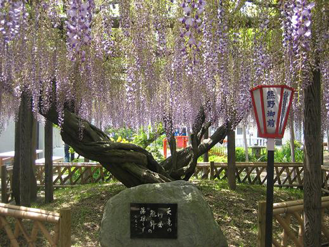 プレミエ その他外観6