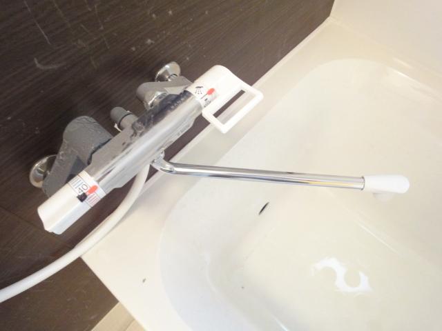 エスト・シルヴィオ その他7