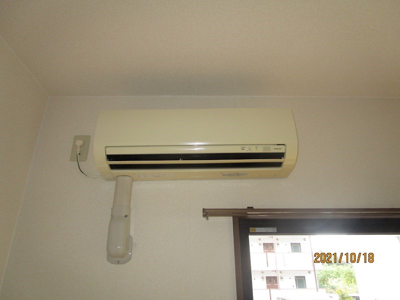 マスカット・Ｇ その他1